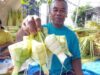 Lebaran Ketupat, Pasar di Lamongan Dipenuhi Pedagang Janur Img 20250404 wa0035