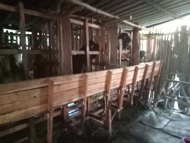 Img 20250408 wa0073