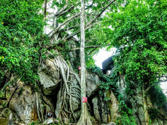 IMG-20250411-WA0006 Img 20250411 wa0006