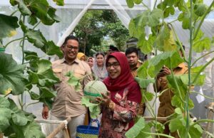 Inovasi Lokal dan Kemandirian Masyarakat Desa Bojonegoro Kembangkan Varietas Melon Img 20250418 wa0001