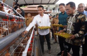 Program Gayatri, Ini Bukan Hanya Soal Ayam, Tapi Tentang Harapan dan Masa Depan Img 20250423 wa0005