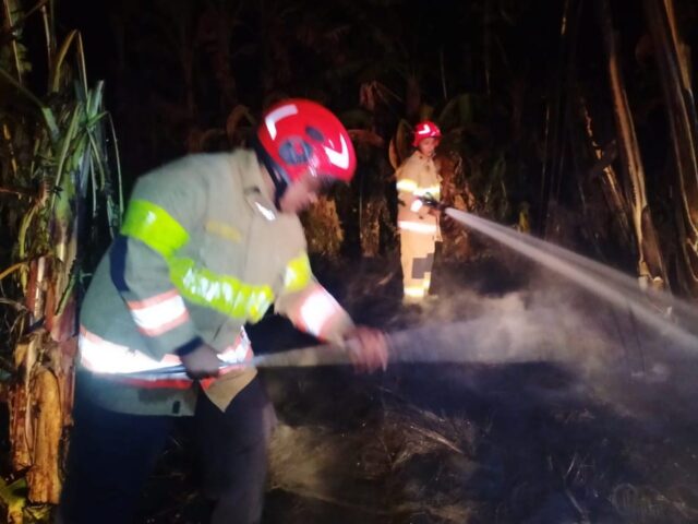 IMG-20250428-WA0031 Img 20250428 wa0031