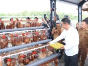 400 Keluarga di Bojonegoro Dapat Bantuan Ayam dan Kandang Fb img 1746929482363