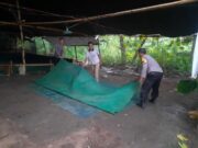 Arena Judi Sabung Ayam di Nganjuk Dibongkar Polisi Img 20250505 wa0007