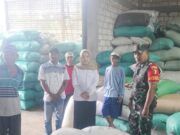 Babinsa Balen Kawal 20 Ton Gabah Petani Pohbogo Masuk Gudang Bulog Lewat Program Sergab Img 20250505 wa0017
