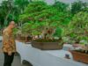 1.001 Bonsai Dari Berbagai Penjuru Tanah Air Berkumpul di Gresik Img 20250510 wa0131