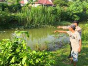 Tragedi di Sungai Ngampel Lamongan: Bocah 10 Tahun Tewas Tenggelam Saat Bermain Img 20250511 wa0017