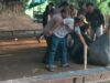 Polisi Gerebek Lokasi Sabung Ayam di Nganjuk, Hasilnya Mengejutkan Img 20250608 wa0002