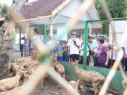 Teksas Wonocolo Bojonegoro Bikin Tim Geopark Nasional Terkesima Img 20250612 wa0283