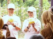 Wow Lahan Tidur di Bojonegoro Disulap Jadi Kebun Pepaya California Img 20250621 wa0019