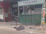 Pelajar 16 Tahun Tewas Ditabrak Truk di Bojonegoro, Begini Kronologinya Img 20250626 wa0012
