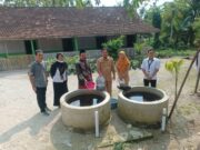 30 Keluarga Miskin Bojonegoro Dapat Kolam Lele Gratis, Ini Program Unik Pemkab 16020ceb bb77 4fec bd72 dc88c6fda476