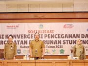 Pemkab Luncurkan Program Detak Keris dan Gresik Urus Stunting Img 20250722 wa0001