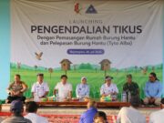 Ini Cara Unik Bojonegoro Usir Tikus di Sawah F5aee9bf 0e0f 4367 807d 9ccd2441fe04