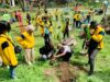 Geopark Negeri Atas Angin Dihijaukan, Mahasiswa Unigoro Tanam Pohon Peneduh 1368f57c a981 43d9 9476 25ad69d56b2c