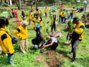 Geopark Negeri Atas Angin Dihijaukan, Mahasiswa Unigoro Tanam Pohon Peneduh 1368f57c a981 43d9 9476 25ad69d56b2c