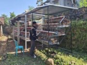 Berkat GAYATRI, Warga Bojonegoro Ini Kini Jadi Juragan Telur 8d14b43a e712 424b bf93 5adc749ec1dc