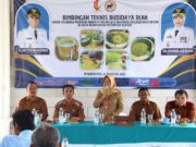 Dapat Kolam dan 600 Bibit Lele, Warga Bojonegoro Siap Panen Cuan 8d630513 7693 42dc 9ddb ed530bd973aa