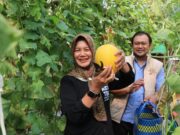 Cegah Pre-Diabetes, Wabup Bojonegoro Gagas Inovasi Snack Sehat dari Petani Lokal E9b92f55 dd56 464d 92a8 dc5913a5d93e