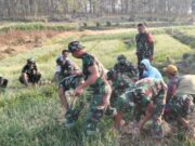 Prajurit Marinir Turun Sawah, Panen Bawang Merah di Bojonegoro Jadi Lebih Cepat Ec41269f e901 48bc a6b1 439088d46043