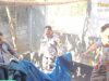 Polres Nganjuk Kembali Nihil Tindak Judi Sabung Ayam, Publik Tanda Tanya A0ccc4a9 b144 47c7 a2ea e323c348303d