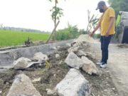 APBD Jatim 2025 Diduga Jadi Bancakan, TPT Desa Supenuh Lamongan Ada Bau Politik Transaksional A84a5ca3 7f08 4e43 b064 f31e0c1870b4