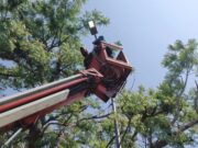 Tak Perlu Khawatir Gelap, Pemkab Bojonegoro Pasang Ribuan Lampu LED di Jalan Raya Af17c9da 0ca1 48ea 9c47 ec5ae690c05a