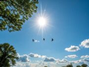 Prakiraan Cuaca Bojonegoro Hari Ini: Cerah dari Pagi hingga Dini Hari D2dd6dcc 2420 4f92 95a5 b0d8b35fd1c1