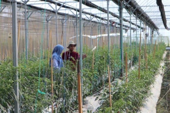 e7bd9f13-7faa-4c66-97a4-52b75e95c218 E7bd9f13 7faa 4c66 97a4 52b75e95c218