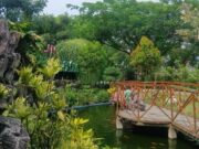 Inilah Daya Tarik Taman Gajah Bolong di Baureno Bojonegoro Fa145dcc 9613 43b8 96b6 a7fd0d9da9f1