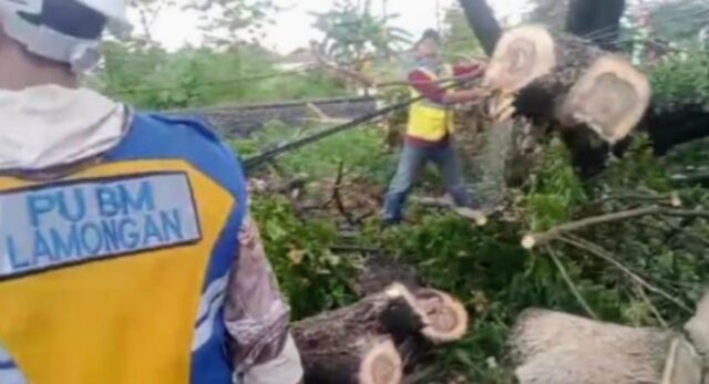 0cdb69a4-991b-491c-bd35-15355cb7a4b4 0cdb69a4 991b 491c bd35 15355cb7a4b4