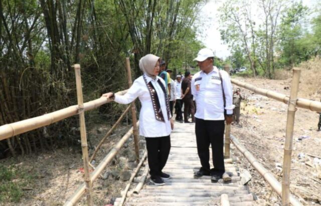 15b524da-7b1b-4e3e-9434-f56dc8aedd9c 15b524da 7b1b 4e3e 9434 f56dc8aedd9c