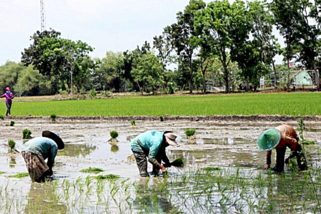 1f94ed8f 9a17 4bde 87cf 780ab55668dd