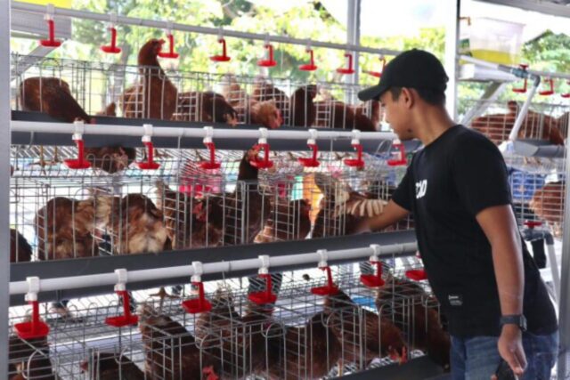 356c32da-0c91-49f7-a69c-0f7c2f0d4e0c 356c32da 0c91 49f7 a69c 0f7c2f0d4e0c