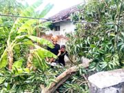 Cuaca Ekstrem Intai Bojonegoro, Ini Himbauan Penting BPBD untuk Warga 8d2beb95 521a 46d5 b5ef 8bfadfd2f03d