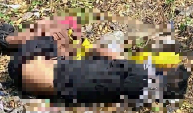 ae7009d4-98d2-4679-b227-eb72911d3ceb Ae7009d4 98d2 4679 b227 eb72911d3ceb