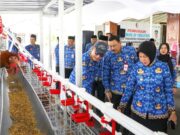 560 Peserta Ikuti TOF Program GAYATRI, Wabup: Ini Ikhtiar Kurangi Kemiskinan Cdbfb497 8640 41d6 9a2f 0bab4b944df9