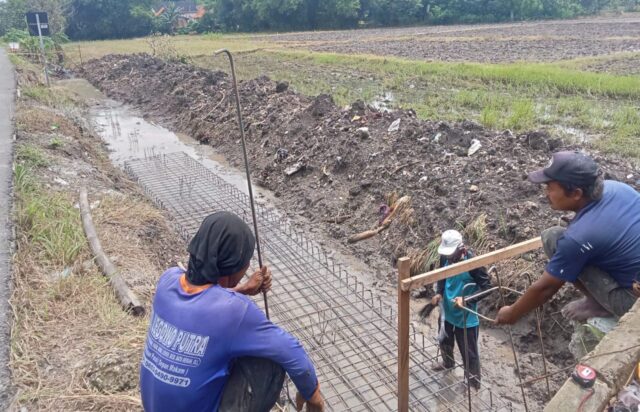 f684a1e7-0010-49e0-bd70-ab8950999bef F684a1e7 0010 49e0 bd70 ab8950999bef