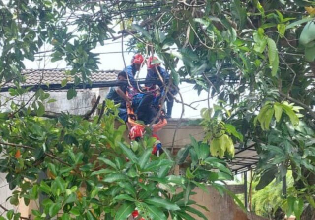 fe9fc2bf-25db-43b1-853f-44d730baf875 Fe9fc2bf 25db 43b1 853f 44d730baf875