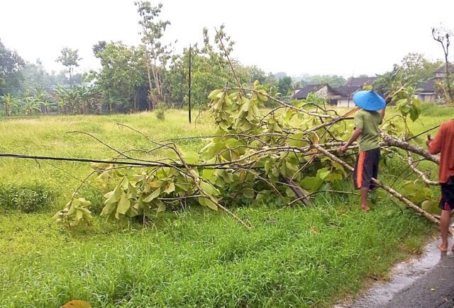 1762430597081 copy 1280x869