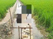 Diduga Akal-akalan, Proyek Irigasi Tuban Pakai Material Tak Berizin, Kualitas Diragukan 1762781777112 copy 1280x860