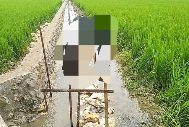 1762781777112 copy 1280x860