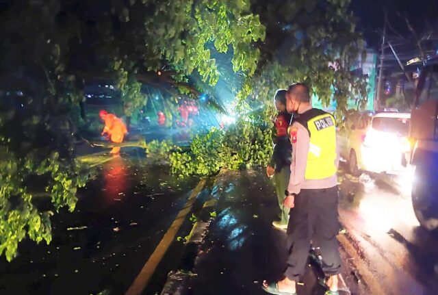 1763197889316 copy 1280x861