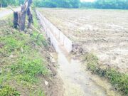 Benarkah Uang Proyek Disunat, Warga Bongkar Kejanggalan Drainase di Tulungrejo Bojonegoro 1763273744887 copy 1280x870