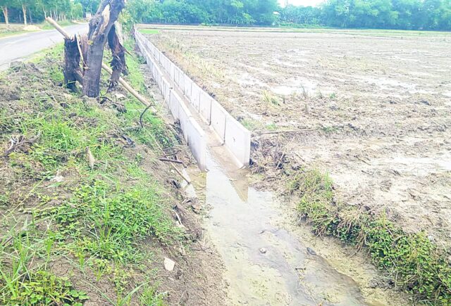 1763273744887 copy 1280x870