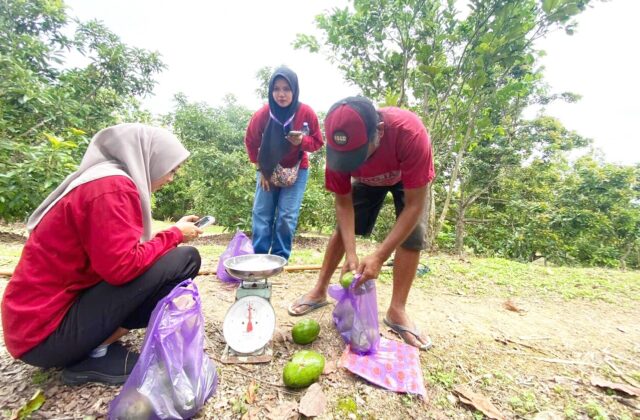 1763991270925_copy_1280x839 1763991270925 copy 1280x839