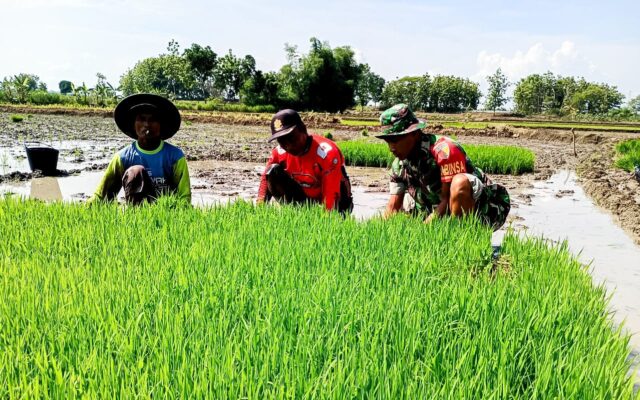 IMG 20251106 WA0082 copy 1280x799