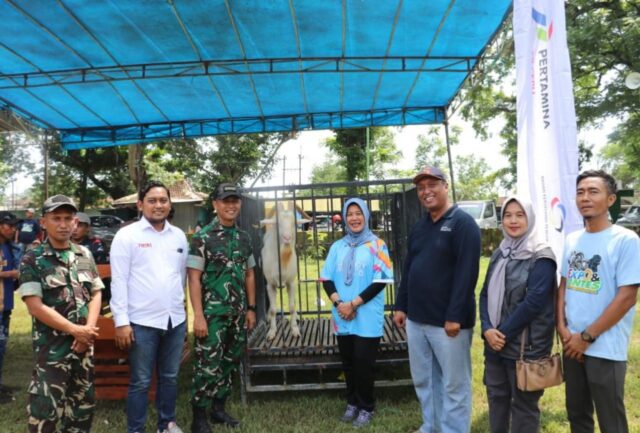 IMG-20251124-WA0002 IMG 20251124 WA0002