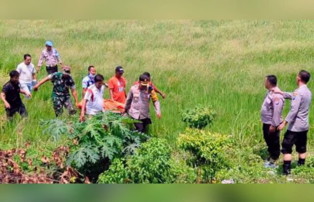 IMG-20251129-WA0020 IMG 20251129 WA0020