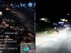 Kabel Telkom Tanam Ditarik Pakai Truk, Warga Rengel Tuban: Ini Jelas Ada Yang Janggal IMG 20251130 WA0004